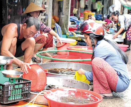 Sau Tết, sức mua thủy sản tăng cao