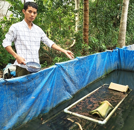 Thu nhập nửa tỉ đồng từ nuôi lươn