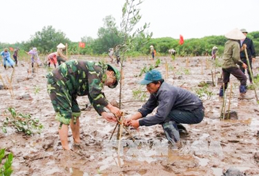Hưởng ứng ngày Đất ngập nước thế giới năm 2017