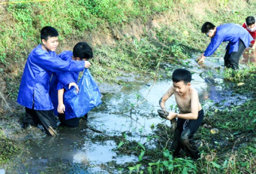 Xây dựng các sự kiện, lễ hội thu hút du khách