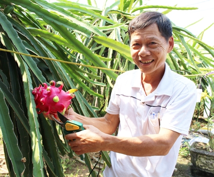 Hướng đến nông nghiệp bền vững