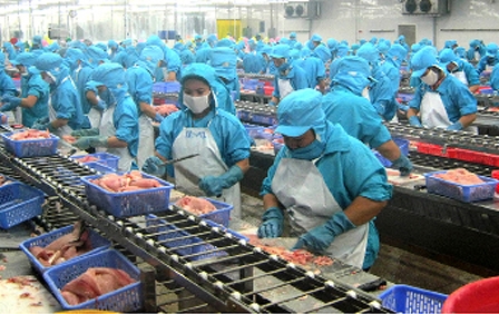 Chủ động mở rộng thị trường