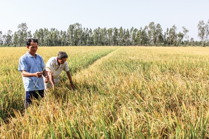 Thấy rõ hiệu quả “3 giảm, 3 tăng”