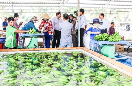 Khoa học và công nghệ hướng đến phát triển nông nghiệp công nghệ cao