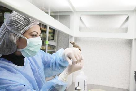 Sắp có thuốc làm chậm tiến trình lão hóa