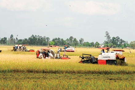 Chông chênh hợp đồng liên kết