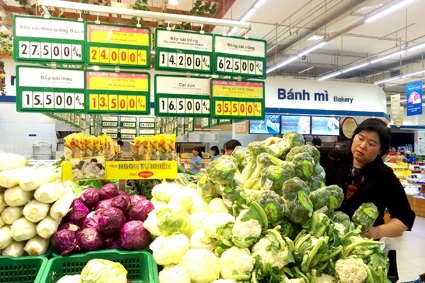 Hỗ trợ phát triển sản phẩm hữu cơ và Liên kết tiêu thụ nông sản với vùng ĐBSCL