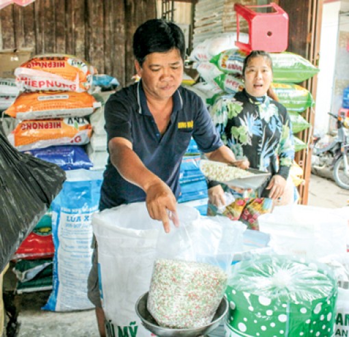 Chi phí sản xuất tăng, nông dân thêm gánh nặng