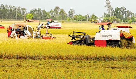 Tái cấu trúc để biến thách thức thành cơ hội