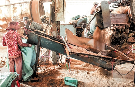 Bến Tre:  Giá mụn dừa tăng cao