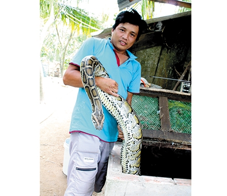 Người nuôi trăn khó thu hồi vốn