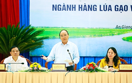 Nới rộng hạn điền 
để sản xuất hàng hóa lớn