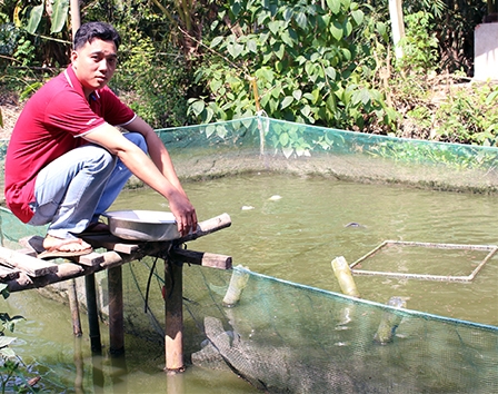 Nhân rộng mô hình
nuôi cá thát lát cườm trong vèo