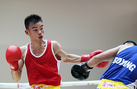 Cần Thơ cam kết giải boxing “sạch và đẹp”
