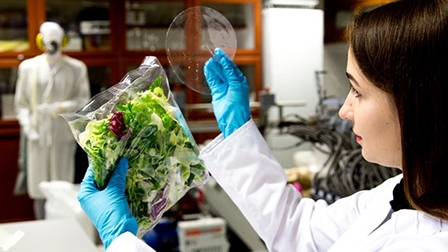 Màng bọc 
thực phẩm mới từ tinh dầu 
đinh hương