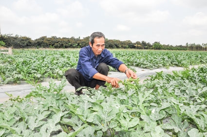 Những kết quả bước đầu
