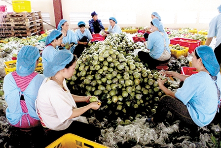 Linh hoạt để đồng hành
cùng doanh nghiệp