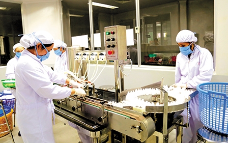 Thiết thực hỗ trợ doanh nghiệp 
nâng cao năng lực cạnh tranh