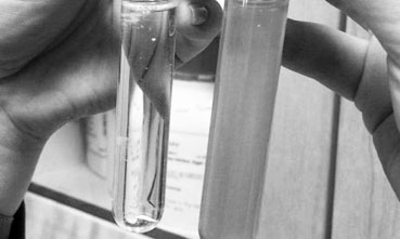 Công nghệ lọc nước từ sợi gỗ