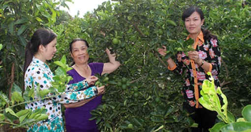 Phát huy vai trò phụ nữ
trong phát triển kinh tế tập thể