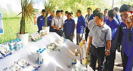 Sử dụng phân hữu cơ - 
sinh học ở vùng hạn - mặn