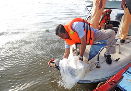 Thả hơn 3 tấn cá bản địa tái tạo nguồn lợi thủy sản