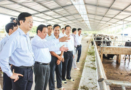 Chuyển biến mạnh mẽ để đạt mục tiêu tăng trưởng