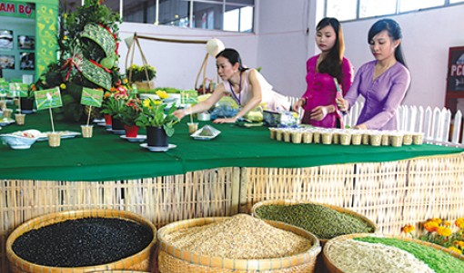 Nô nức đi tìm hương vị phương Nam