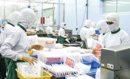 Tôm xuất khẩu - Tìm giải pháp tăng trưởng