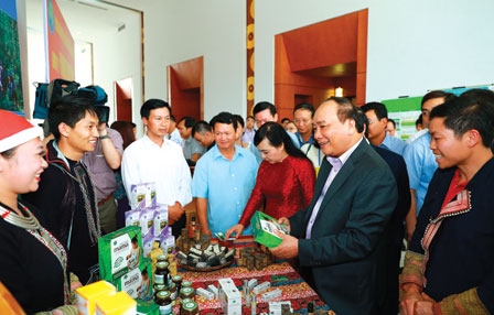 Chấn hưng dược liệu Việt Nam