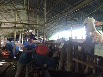 Sinh viên 5 tốt Võ Phi Bằng