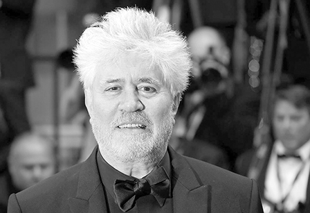 Những ứng cử viên Cành cọ vàng  2017