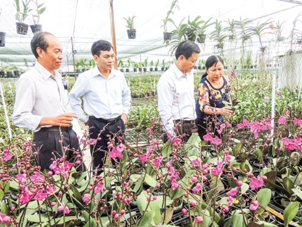 Chuyển mình để thích ứng