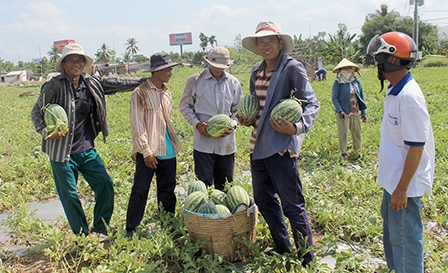 Khơi dậy tinh thần đoàn kết, tương trợ