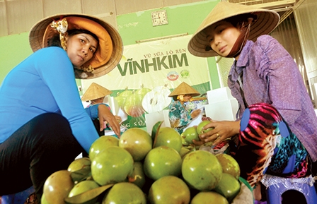 Nông sản GAP gian nan 
đường ra thị trường lớn