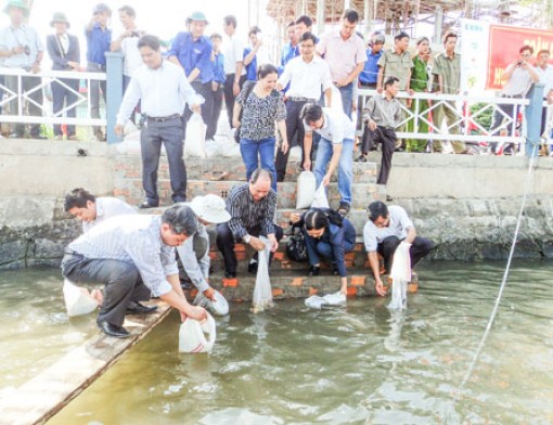 Nỗ lực bảo vệ, tái tạo nguồn lợi thủy sản