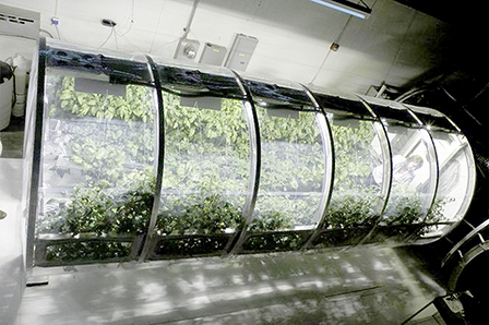 Nhà kính giúp phi hành gia 
tự trồng rau ăn