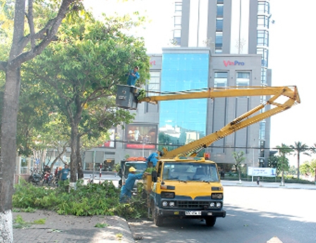 Phát triển các “mảng xanh” đô thị