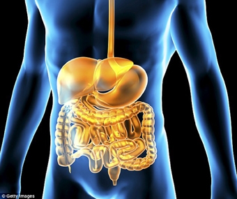 Bệnh Parkinson bắt nguồn từ trong bụng?