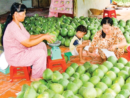 Khai thác tiềm năng kinh tế vườn