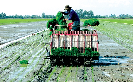 Để hợp tác xã kiểu mới 
phát huy hiệu quả