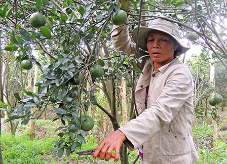 “Giải bài toán vốn”
trong xây dựng nông thôn mới