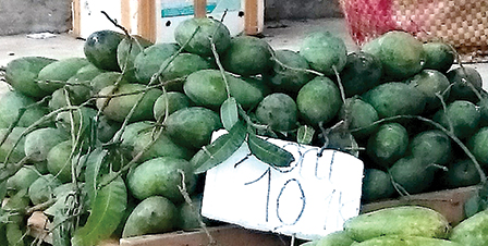 Giá xoài trái giống
Đài Loan giảm mạnh