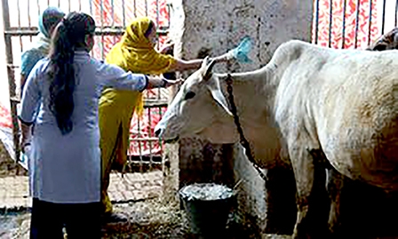 Dịch vụ xe cứu thương chobò!