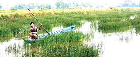 <span style="background-color:wheat;">Kiên Giang</span> Nông dân lao đao vì không 
có nguồn nước mặn nuôi tôm