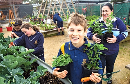 Học làm vườn giúp trẻ em phòng chống béo phì