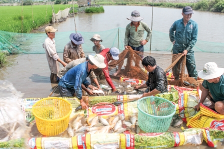 Pắc- Beng và nỗi lo của Đồng bằng sông Cửu Long