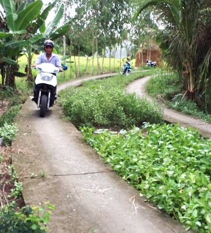 Bộ Chỉ huy Quân sự và Hội Cựu chiến binh TP Cần Thơ ký kết chương trình phối hợp tại hội nghị.