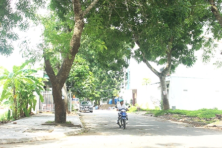 <span style="background-color:wheat;">Thị trường bất động sản Cần Thơ</span>
Giá tăng theo nhu cầu thực tế