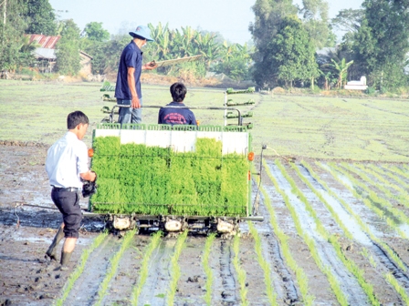 Máy cấy lúa đem lại nhiều lợi ích